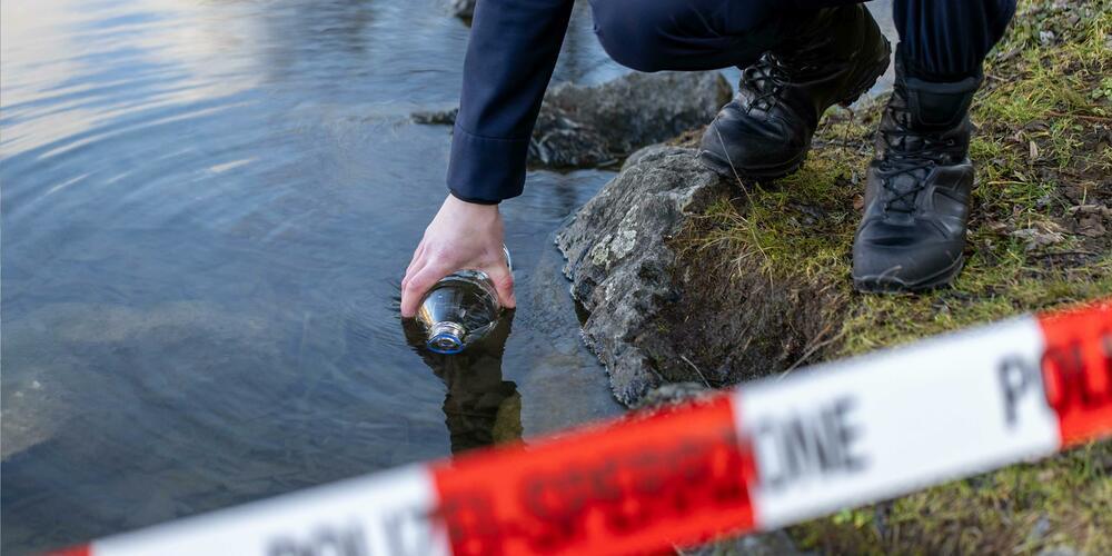 In einem Bach bei Lichtensteig kamen mehrere Fische ums Leben. (Symbolbild)