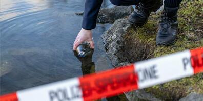 Die Wasserproben werden ausgewertet.