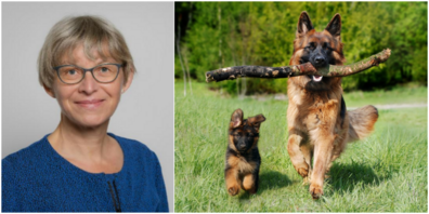 Kantonsrätin Margot Benz (Grüne) fragt bei der Regierung nach Details und Statistiken rund ums Thema Hundepopulation, Hunderasse und Vorfälle mit Hunden im Kanton.