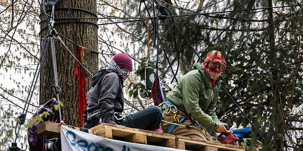 Aktivistinnen und Aktivisten besetzten 2023 ein Waldstück in Rümlang. Das Bezirksgericht Dielsdorf sprach nun neun Personen grösstenteils frei. (Archivbild))