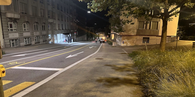 Durch den Sturz wurde die Mitfahrerin mittelschwer verletzt.