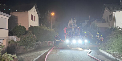 Die Feuerwehr kämpfte im aller Kraft gegen die Flammen.