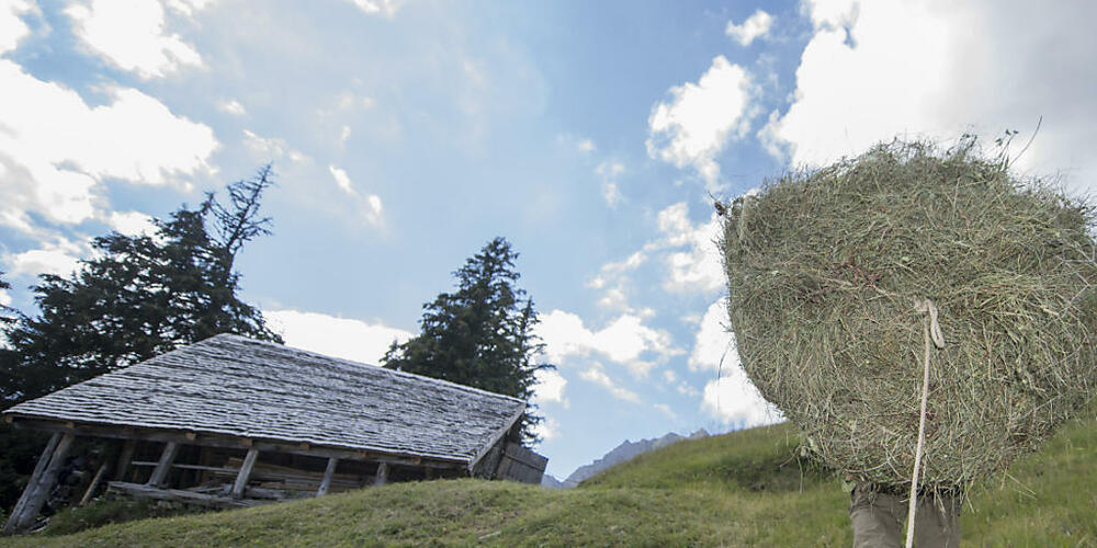 Die Kantone Uri, Zug und Schwyz haben gemeinsam das Projekt "Klimafitte Landwirtschaft" gestartet. (Symbolbild)