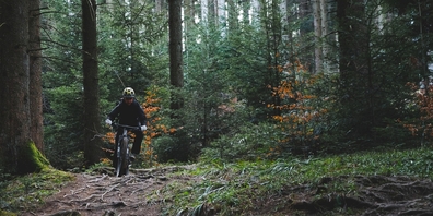 Seit Jahren wies die St.Galler Jagd auf Missstände durch wildes Biken in Wäldern hin. Doch bei der Erarbeitung der Bike-Strategie blieb sie aussen vor. (Themenbild)
