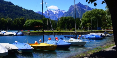 Die Weesner Hafenanlage am Walensee. Für die Parkanlage ist ein neues Bepflanzungskonzept geplant. (Archivbild)