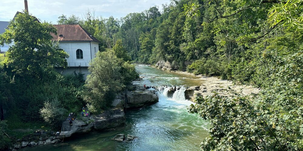 Im Einsatz stehen mehrere Rettungsorganisationen.