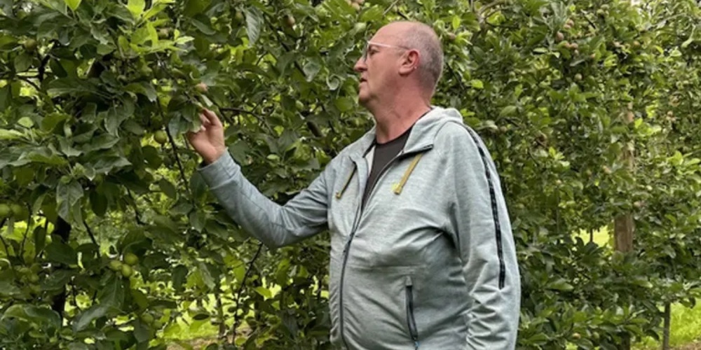 Pierre Dorsaz bei der Inspektion seiner Obstplantagen. 