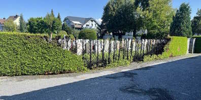 Abgebrannte Hecke in Flawil