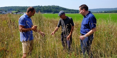 Urban Dörig, Bio-Landwirt, Peter Schweizer, Vizepräsident des Thurgauer Bauernverbands, und Sebastian Menzel, Leiter Abteilung Direktzahlungen und Kontrollwesen, auf einer Brache. Sie ist Teil der praktischen Umsetzung der parlamentarischen Initiative «Risiko beim Einsatz von Pestiziden reduzieren».