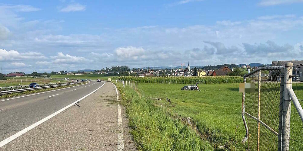 Die Fahrt des 21-Jährigen endete auf einer Wiese.