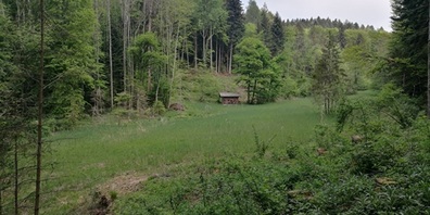 Gärtensberger Riet