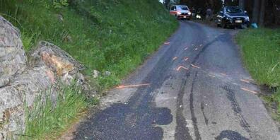 Ein 26-jähriger Autofahrer hat am Samstagabend bei der Talfahrt von der Alp einen Selbstunfall verursacht. Zwei Personen wurden dabei verletzt.
