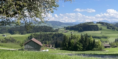 Die Strasse vom Gonzenbächli hinauf auf den Chugelhuet kann für 1,1 Mio. Franken saniert werden.