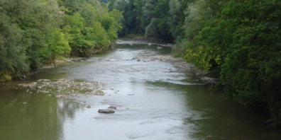 Die Sitter ist der weitaus grösste Nebenfluss der Thur und fliesst durch die Kantone Appenzell Innerrhoden, Appenzell Ausserrhoden, St.Gallen und Thurgau
