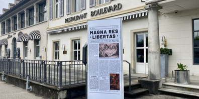 Der seit zwei Jahren den Polen gehörende Schwanen Rapperswil dämmert vor sich hin. 