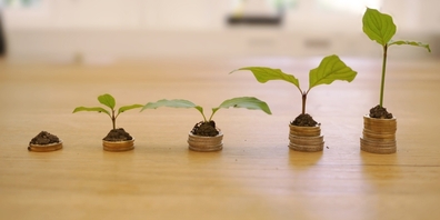 Viktor Brunner fordert eine Abkehr vom Wachstum, mittels einer ökologischen Steuerreform, wie sie der Club of Rome vor einiger Zeit angedacht hat.