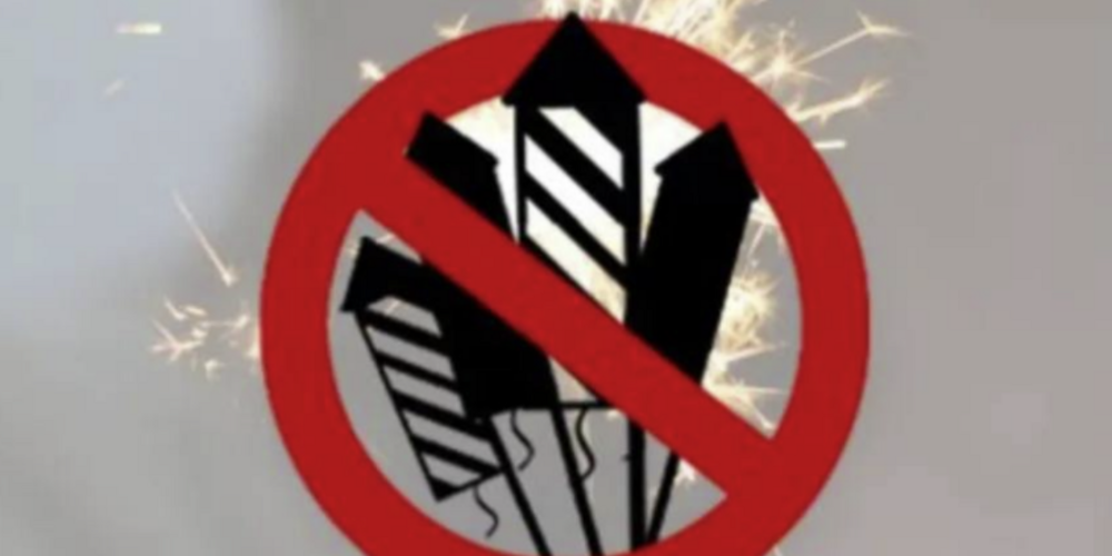 Die Gemeindeversammlung sprach sich für ein Verbot von lärmendem Feuerwerk aus.