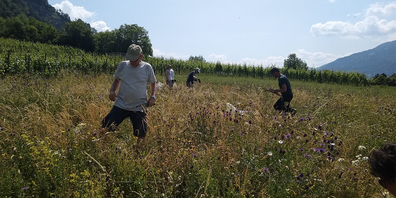 Gemeinsamer Einsatz: In verschiedenen  Gemeinden ist am Neophytentag tatkräftig angepackt worden.