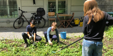 Sommerferienprogramm der Jugendarbeit: Im Garten des Jugendtreffs «UG14» darf angepackt werden.