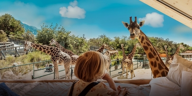 In Zusammenarbeit mit Swiss Family Hotels lanciert Knies Kinderzoo als Sommerprojekt eine Lodge hautnah bei den Rothschildgiraffen.