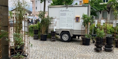 Die Stadt Uster nahm das Verkaufsverbot des Bundes zum Anlass, die Wanderausstellung «Was wächst denn da?» umzusetzen.