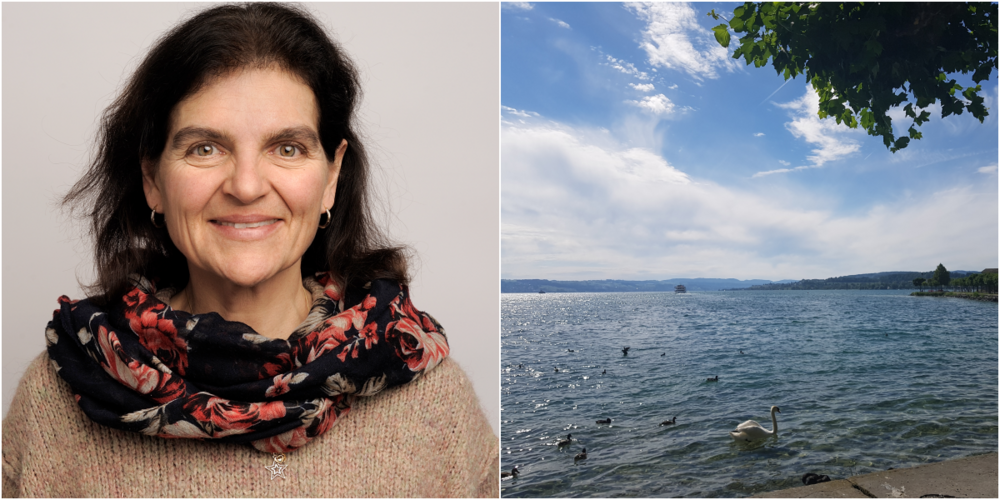 Patricia Rutz, Zürichseeausschnitt.