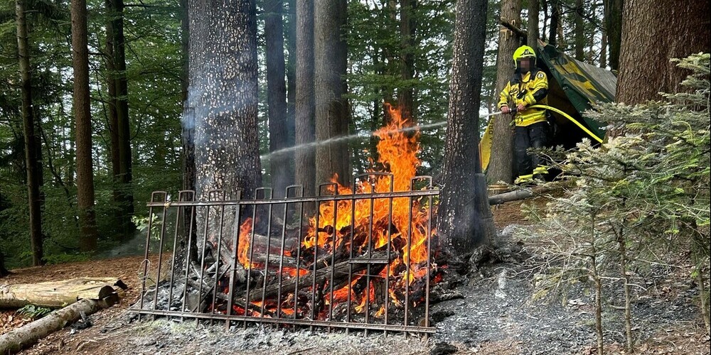 Im Wald bei Walzenhausen ging eine Holzbeige in Flammen auf.