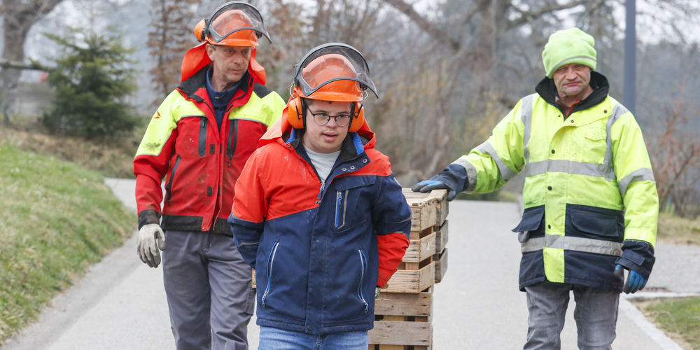 Aleandro Toma und Hans Koller transportieren mit Tandem- Teammitglied Jonny Schönenberger  das verarbeitete Brennholz in die naheliegende Scheune zur Lagerung. 