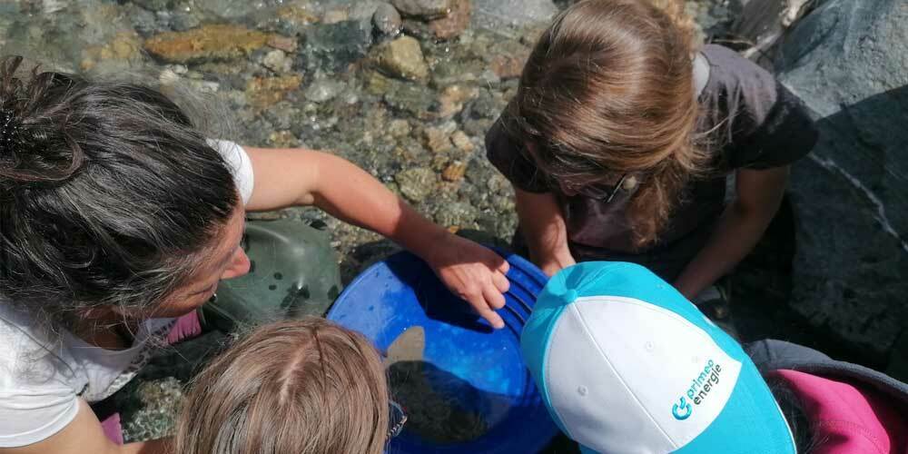 Voller Eifer stürzte sich Mariana am jungen Rhein ins Goldwäscher-Abenteuer und freute sich riesig über die kleinen Goldpartikel, die sie nach sorgfältigem Schwingen der Goldwaschpfanne ausfindig machen konnte. Diesen grossen Herzenswunsch nach einem Erlebnis, wie ihn die Goldsucher-Pioniere einst in den Rocky Mountains erlebten, konnte ihr die Stiftung Wunderlampe kürzlich in der Surselva erfüllen.