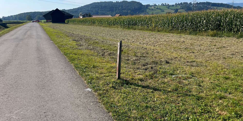 Der Mann prallte in einen Pfosten und verstarb danach.