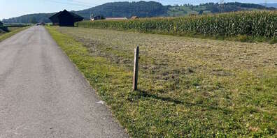 Der Mann prallte in einen Pfosten und verstarb danach.