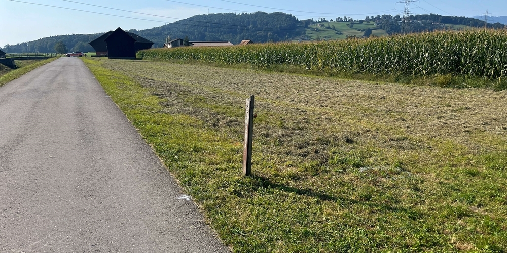 Der Pfosten an der Unfallstelle auf der Sumpfstrasse. Für den genauen Hergang des tödlichen E-Bike-Unfalls werden Zeugen gesucht.