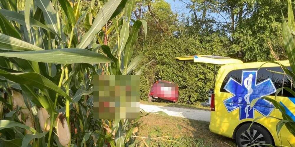 Der 65-jährige Lenker verstarb trotz Reanimationsversuchen noch an der Unfallstelle.