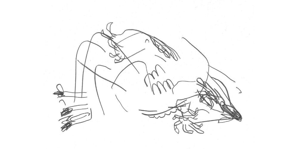 Eine der Zeichnungen von Raoul Doré.