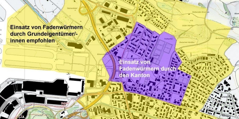 Die Karte zeigt das Einsatzgebiet für Fadenwürmer in Kloten.