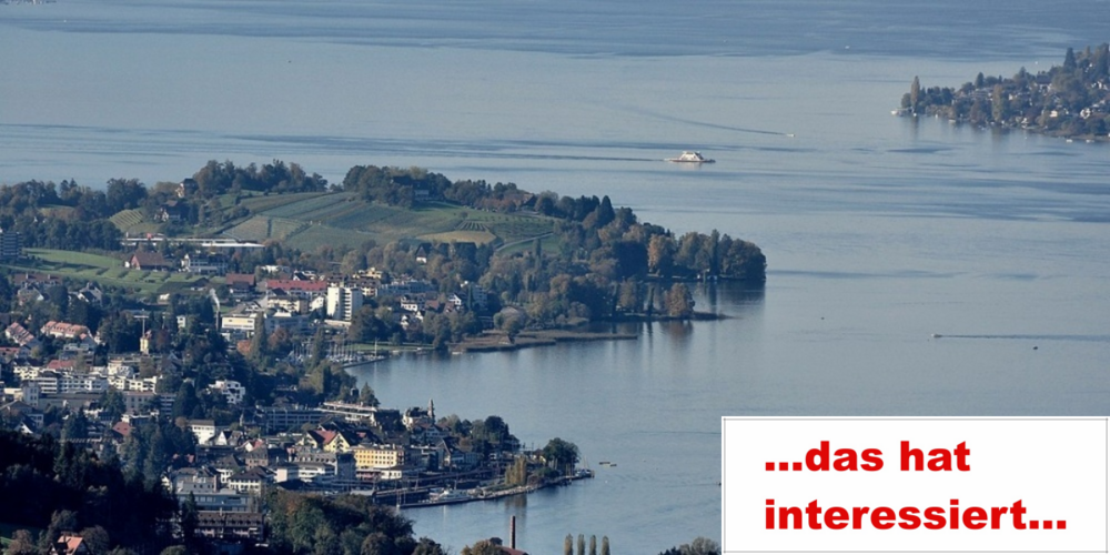 Die Warnung von Forschern wegen der schlechteren Wasserqualität im Zürichsee hat im August am meisten interessiert.