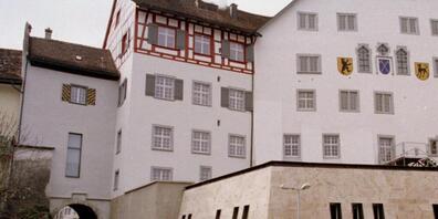 Gilt als Wahrzeichen der Stadt: der Hof zu Wil. (Archivbild)
