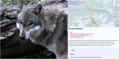 Neben einer interaktiven Karte (o.r.) werden auf der Kantonswebseite auch News, Fakten und zahlreiche weitere Infos gesammelt und publiziert (u.r.).