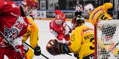 Suche nach dem Gleichgewicht: die Rapperswil-Jona Lakers (hier gegen den SC Bern).