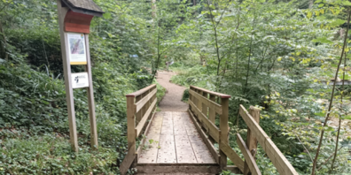 Beim Einsatz wurde eine Holzbrücke erstellt …