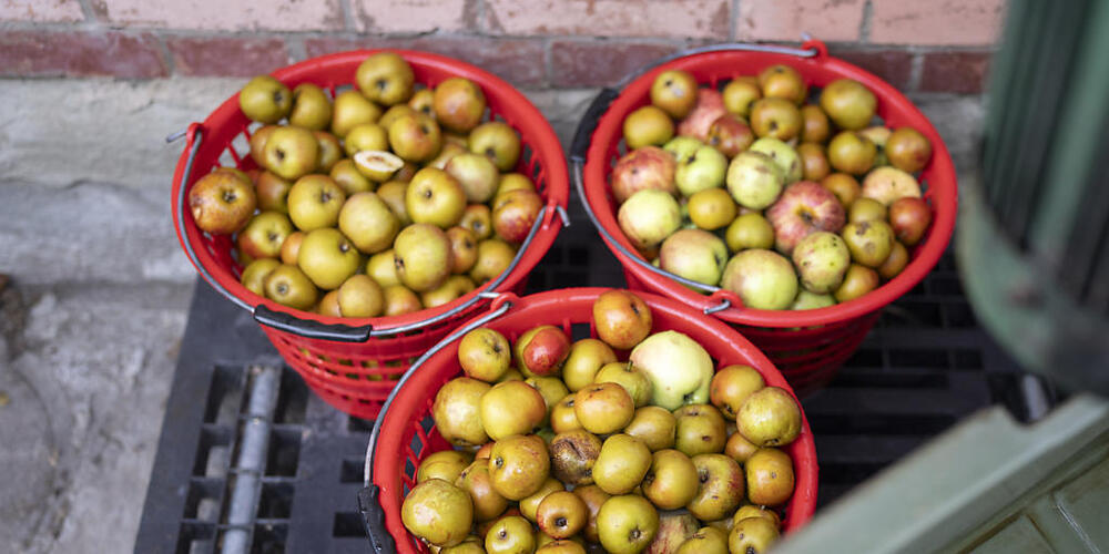 Gibt es PFAS auch in Obst? Die Untersuchung der Folgen der belasteten Böden steht erst am Anfang. (Archivbild)