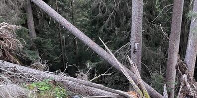 Die beiden Forstarbeiter in Langwies GR konnten vom Quad springen, bevor es sich einen steilen Abhang hinab überschlug.