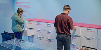 Schubladisierte Krankheitsbilder in der Ausstellung "verrückt normal" im Historischen Museum Basel.