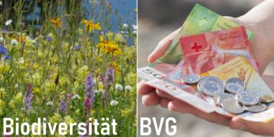 In den eidgenössischen Abstimmungen von heute ging es um Biodiversität und die BVG.