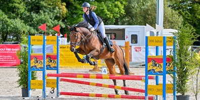 Das Herbstspringen des KV Oberrheintal ging unter idealen äusseren Bedingungen über die Bühne
