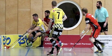 Die Spiele zwischen den Gators und den Vipers sind meist ausgeglichen (Archivbild)