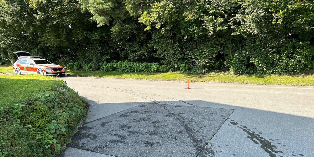 Beide Beteiligten wurden beim Unfall verletzt.