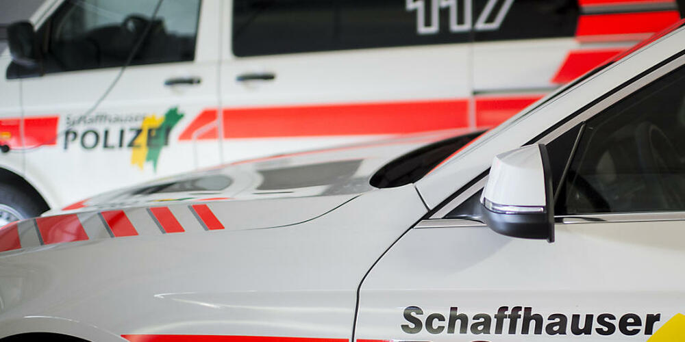 Die Polizei nahm dem geflüchteten Lieferwagenlenker den Fahrausweis ab. (Symbolbild)