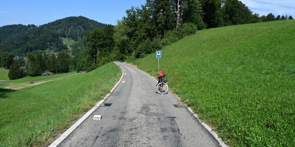 Der 67-jährige Mann stürzte auf der Bliggenswilerstrasse aus ungeklärten Gründen. Die Polizei sucht Zeugen.