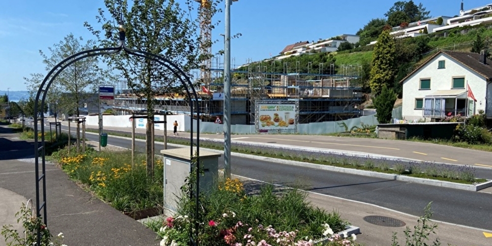 Die Bushaltestelle Schönau an der Rütistrasse in Jona soll Wartehäuschen erhalten, wegen Verzögerungen zunächst nur stadteinwärts.